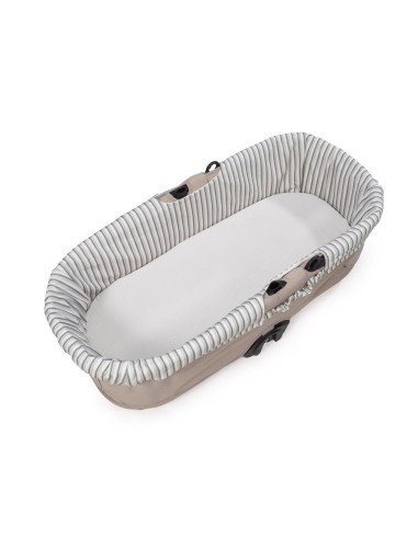 FORRO INTERIOR CAPAZO Y BAJERA BOTTON RAYA