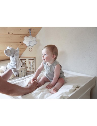 MUSICALTELA CONEJITO