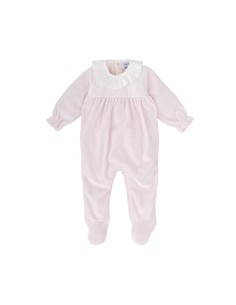 PELELE TUNDOSADO FAM ÁRTICO