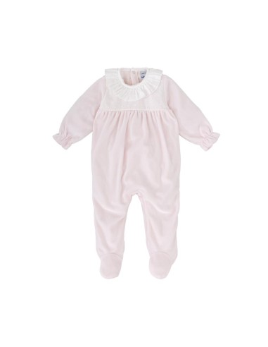 PELELE TUNDOSADO FAM ÁRTICO