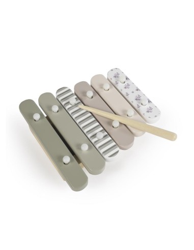 SET INSTRUMENTOS MUSICALESMADERA BOTTON