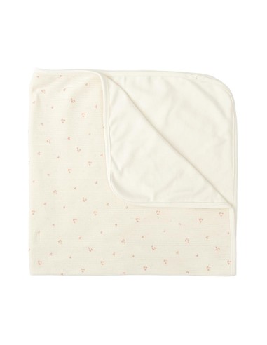 ARRULLO CALADO RAMAS